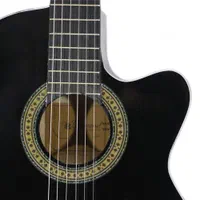 گیتار الماسه طرح سفارشی|گیتار، بیس، امپلیفایر|مشهد, آزادشهر|دیوار