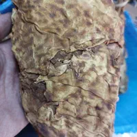 بنیاد اصل|کلکسیون و سرگرمی|شیراز, پارک کوهستانی بوستان|دیوار