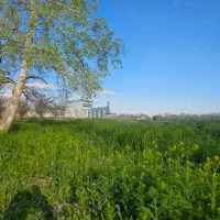 زمین فروشی و معاوضه با خودرو در بوژان