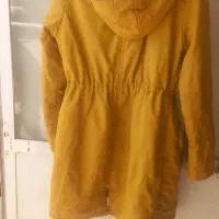 پالتو سالم و بدون عیرات|لباس|سقز, |دیوار