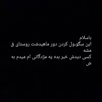 سگ ماده|حیوانات|کرمانشاه, |دیوار