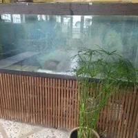 اکواریوم ۲متری