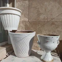 گلدان های بزرگ|گل و گیاه طبیعی|زنجان, |دیوار