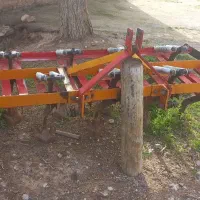 پنجه غازی ۹شاخه