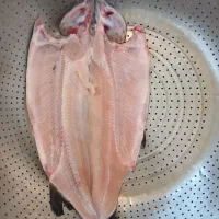 ماهی قزل الا .سالمون .قیمت استثنایی .ارسال در محل