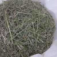 یونجه و علوفه غذای خرگوش و خوکچه|لوازم جانبی حیوانات|شیراز, کوشک میدان|دیوار