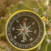 قطب نما جیبی