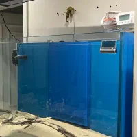 اکواریوم|ماهی|تهران, پاسداران|دیوار