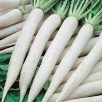 ترب ترد و آب یخ خورده|خوردنی و آشامیدنی|باوله, |دیوار