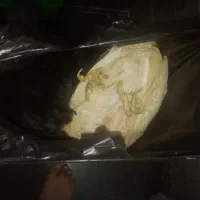 دوتا مرغ پاک نکرده بومی