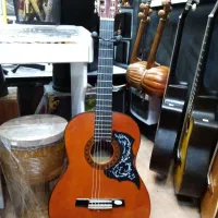 گیتار کلاسیک والنسیا گالری موسیقی آرتیاپاساژشهرسبز