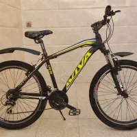 دوچرخه کوهستان ویوا