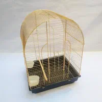 عروس هلندی گم شده پیدا شده