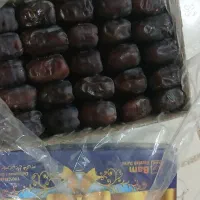 خرما
