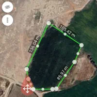 اجازە زمین کشاورزی، پیاز