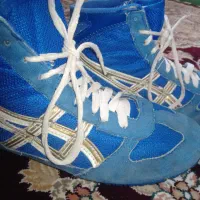 کفش کشتی|کیف، کفش، کمربند|فسا, |دیوار