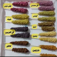 آموزش قند و نبات|خدمات آموزشی|بندر دیر, |دیوار