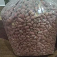 بادام آستانه