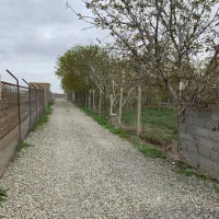 باغ زمین دنگیزک|فروش زمین و ملک کلنگی|تنکمان, |دیوار