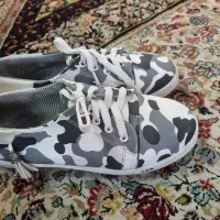 کفش اسپورت
