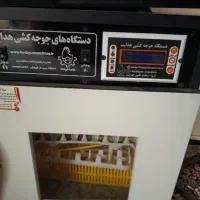 دستگاه جوجه کشی هدایت