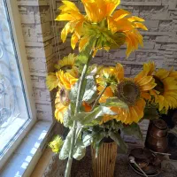 گل آفتابگردون|گل مصنوعی|کرمانشاه, |دیوار