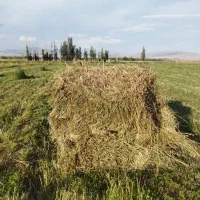 یونجه بسته بندی