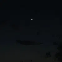 استخدام طراح ،تولیدمحتوا فضایمجازیغیر حضوری|استخدام هنری و رسانه|تهران, شمسآباد|دیوار