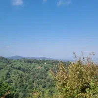 بلندترین نقطه ویو جنگل و دریا و تمام شهرهای با سند|فروش زمین و ملک کلنگی|چابکسر, |دیوار