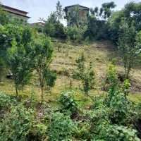 زمین مسکونی۳۹۸متر لطیف محله