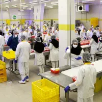 استخدام کارگر ساده