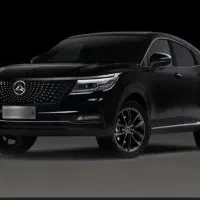 دیگینیتی خانگی فول مارون