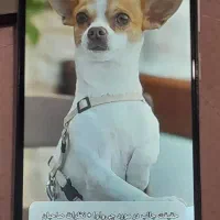 گوشی شیائومی  A5