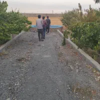 کاهو-زمین-شرکت-برق-گلستان