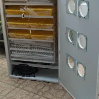 دستگاه اتومات۴۲/۸۴/۱۲۶عددی/جوجه کشی