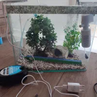 آکواریوم شرکتی