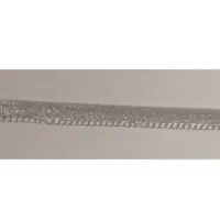 کمربند مجلسی