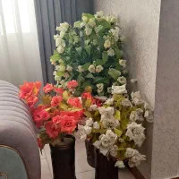 گل همراه گلدان معاوضه هم‌میشه