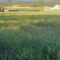 باسلام‌زمین‌فروشی‌درارومیه‌‌منطقه‌سروروستای‌گنگچین|فروش زمین و ملک کلنگی|صومای برادوست, |دیوار