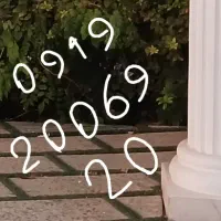 09192006920