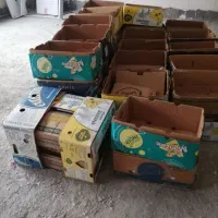 کارتن موز