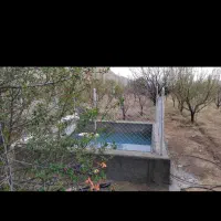 اجرا فنس و آلاچیق و دیوارکشی و استخر و..فیروزکوه|خدمات پیشه و مهارت|فیروزکوه, |دیوار