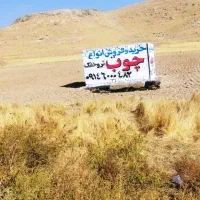 خرید و فروش و برش انواع چوب تر  و خشک|خدمات باغبانی و درختکاری|بوکان, |دیوار