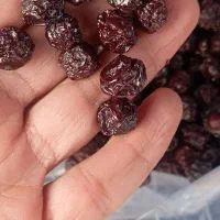 آلبالو خشک گوشتی