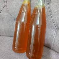 عسل کوهی