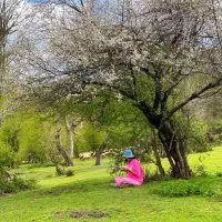 تور یکروزهء گیلانگردی