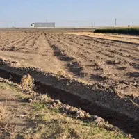 زمین نیم هکتاری بر اتوبان