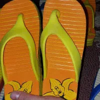 دمپایی راحتی|کیف، کفش، کمربند|رضوانشهر, |دیوار