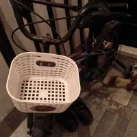 دوچرخه 16|دوچرخه، اسکیت، اسکوتر|ملارد, |دیوار