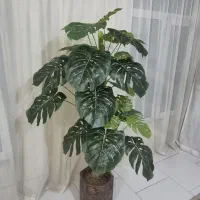 گل مصنوعی|گل و گیاه طبیعی|تهران, شهرک بعثت|دیوار